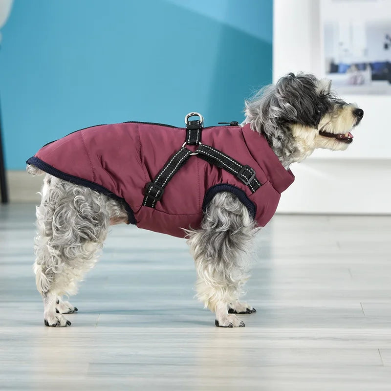 Waterproof Thick Jacket/Coat For Small, Medium And Large Pets
