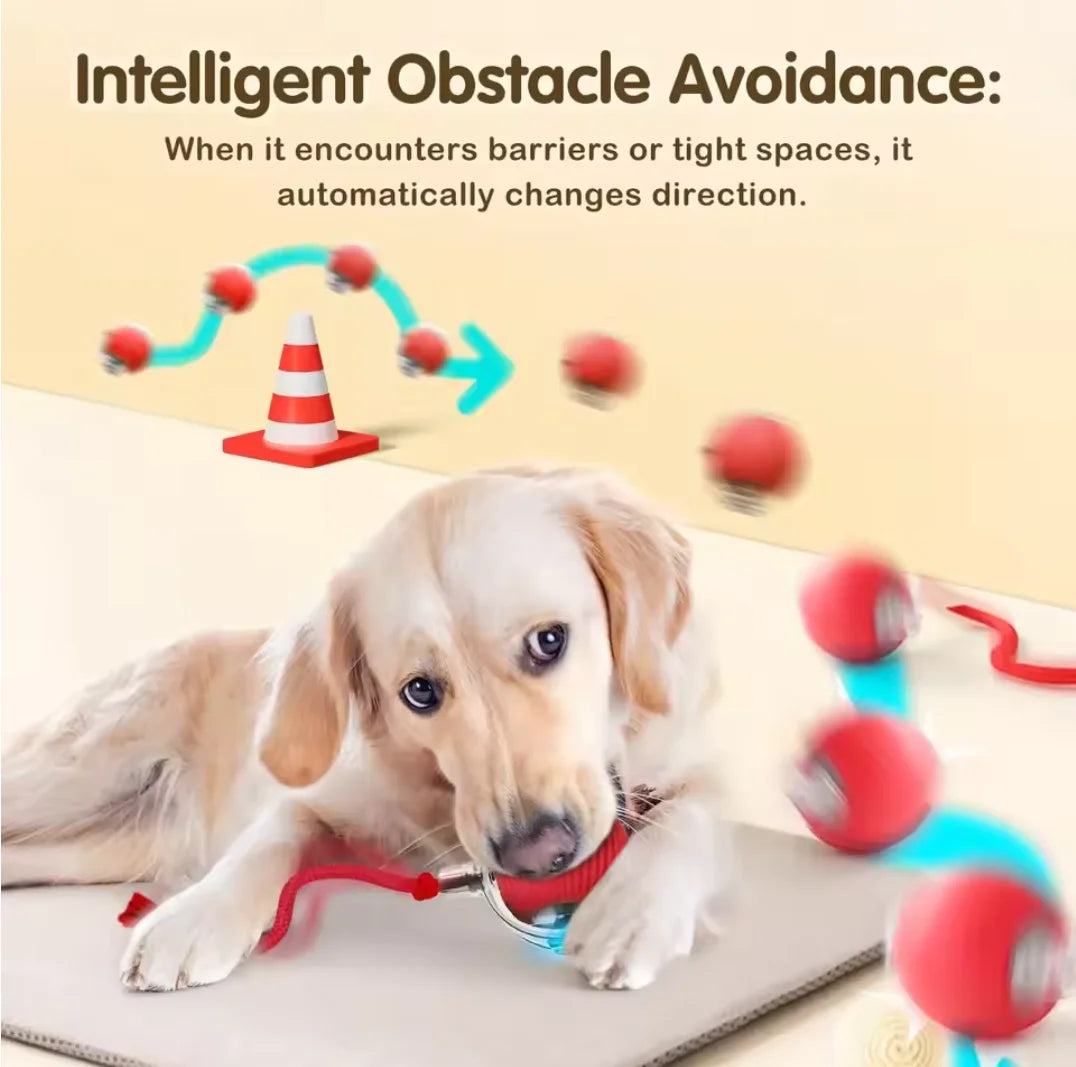 Rechargeable Motion Ball with Tail For Pets