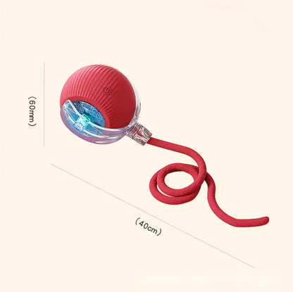 Rechargeable Motion Ball with Tail For Pets
