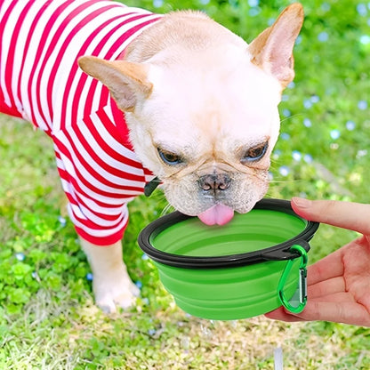 PawPal Collapsible Travel Pet Bowl – Lightweight Silicone Food & Water Dish for Cats & Dogs