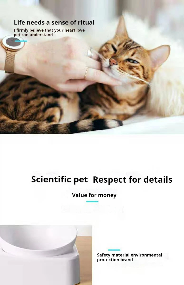 Paws & Pour: Modern Tilted Feeder with Auto Hydration