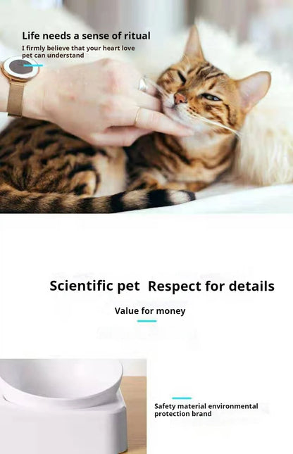 Paws & Pour: Modern Tilted Feeder with Auto Hydration