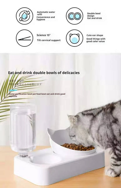 Paws & Pour: Modern Tilted Feeder with Auto Hydration