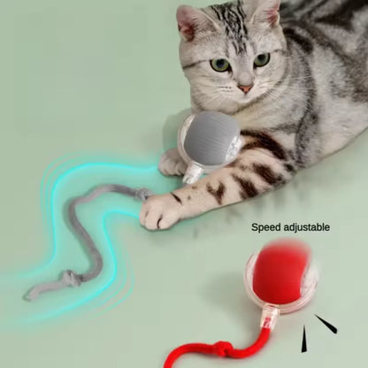 Rechargeable Motion Ball with Tail For Pets
