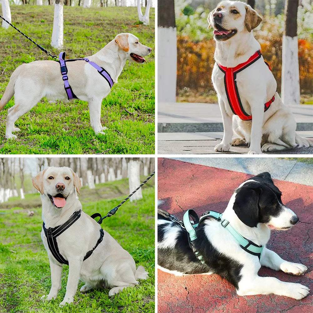 SafeStride Pet Harness – Reflective, Secure, and Comfortable