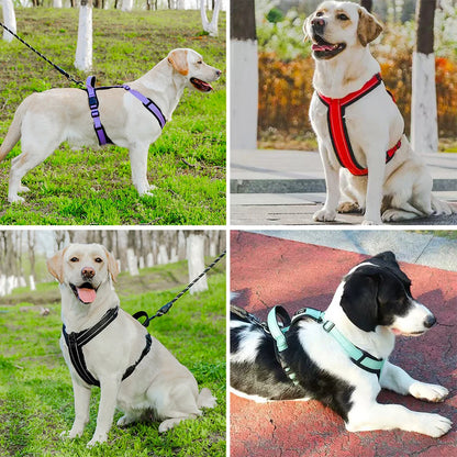 SafeStride Pet Harness – Reflective, Secure, and Comfortable