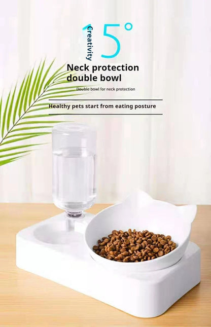 Paws & Pour: Modern Tilted Feeder with Auto Hydration