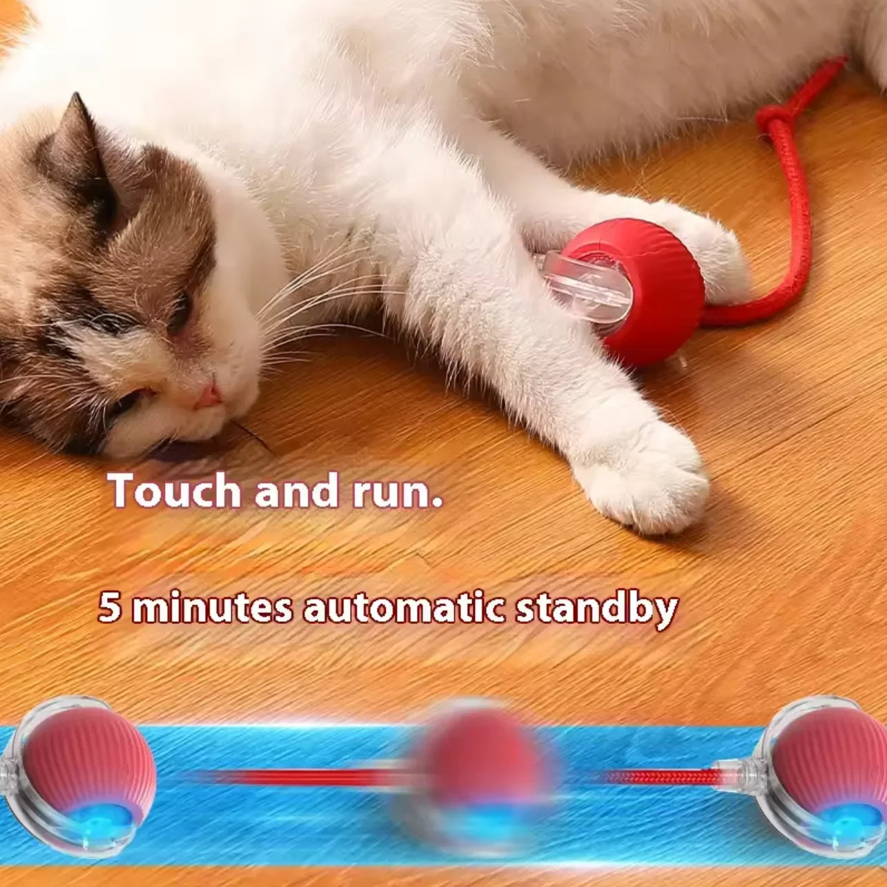 Rechargeable Motion Ball with Tail For Pets