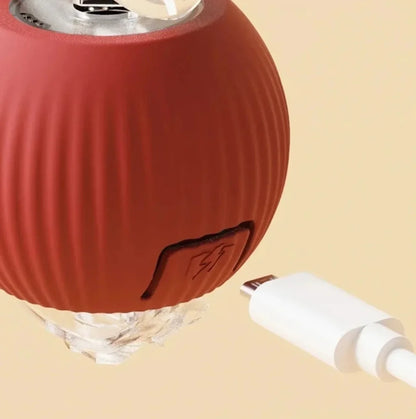 Rechargeable Motion Ball with Tail For Pets